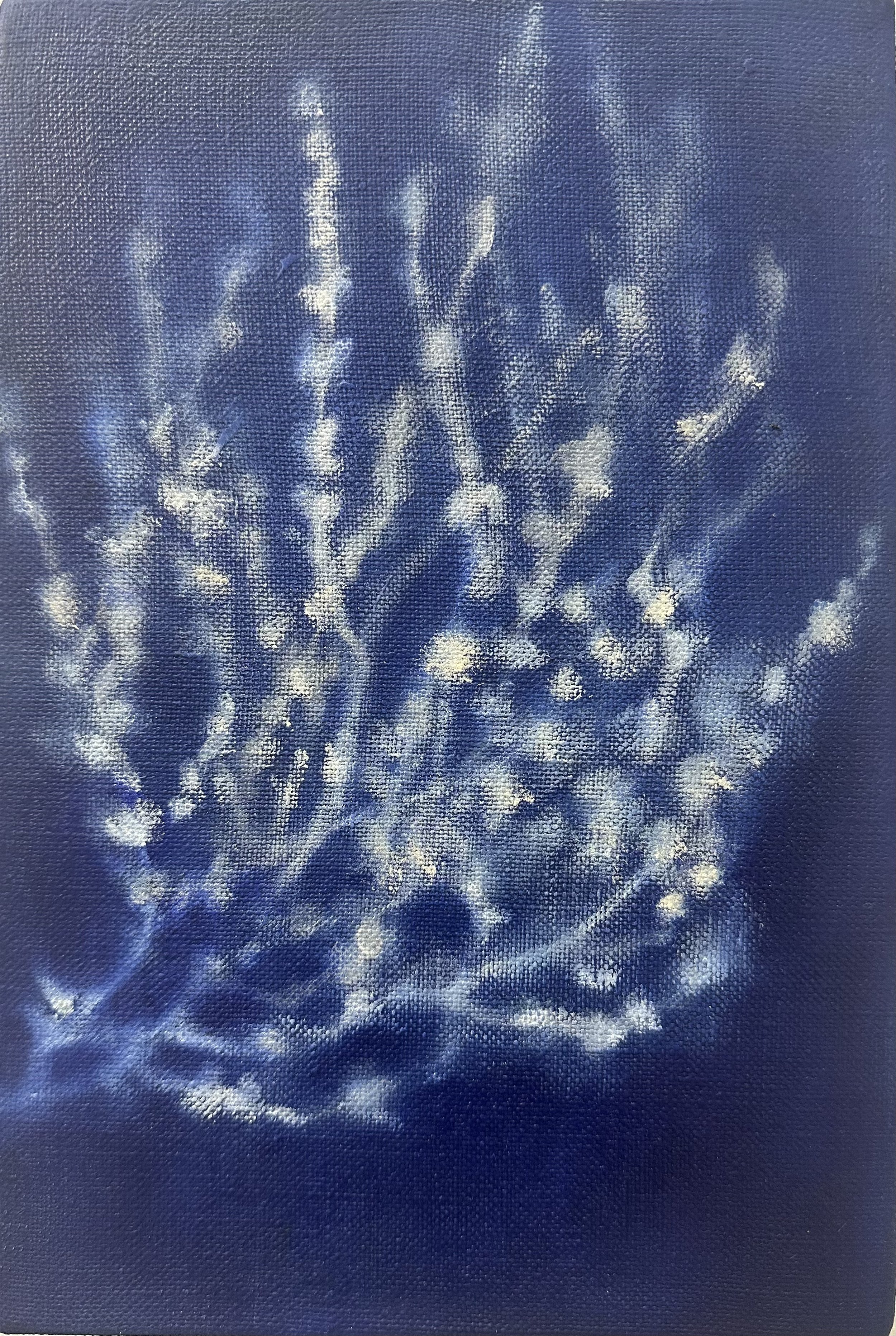   Ground cover III  2026 oil on linen canvas 30 x 20 cm 