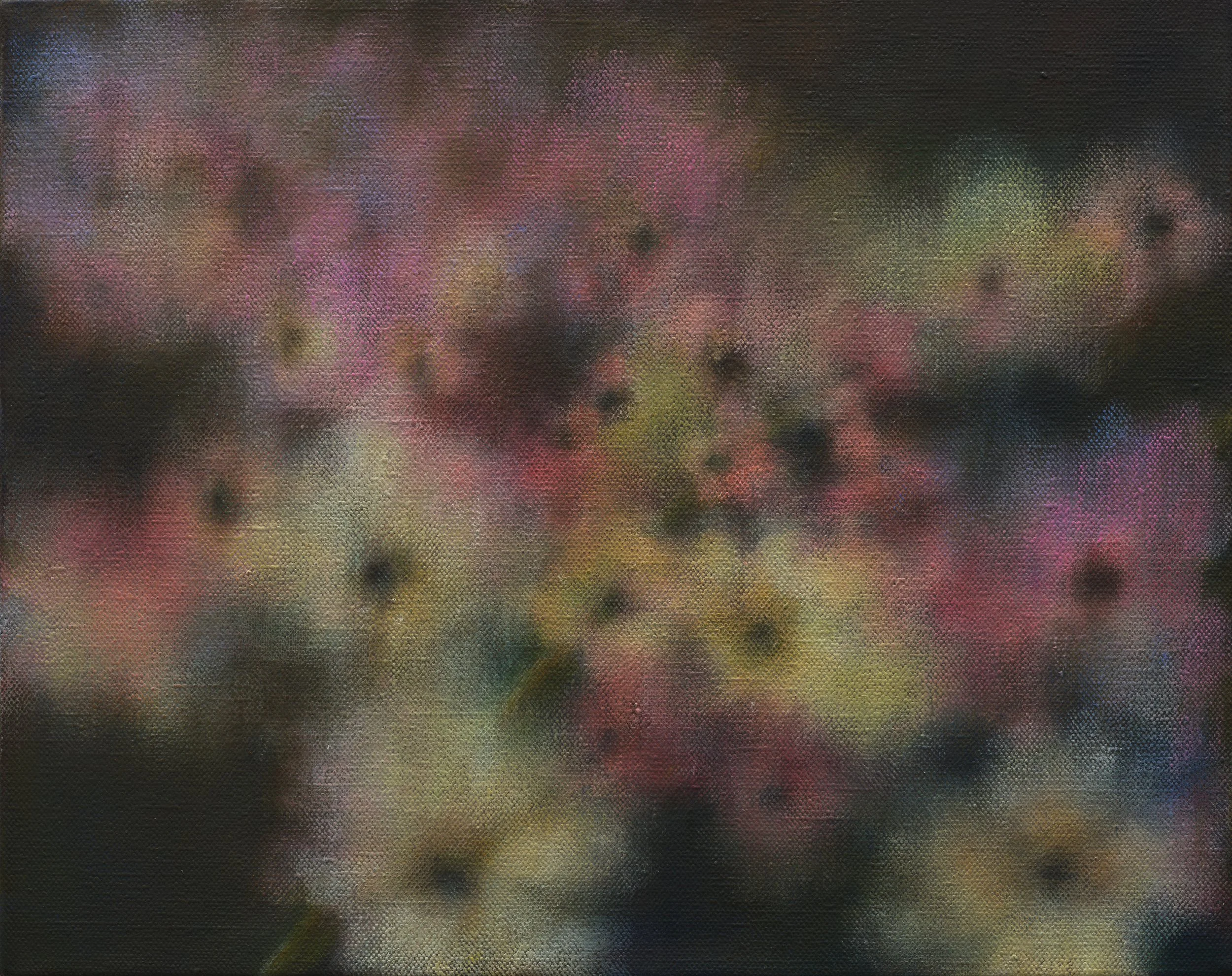Blossom 41x51cm oil on linen 2025