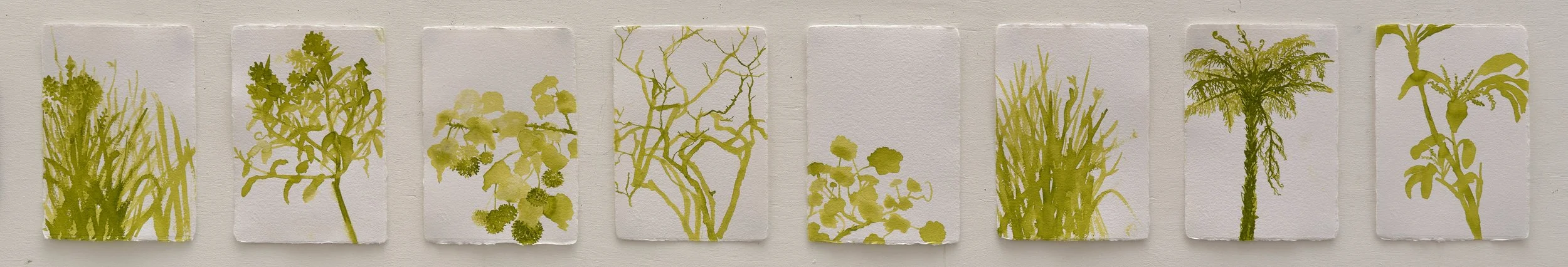   Untitled II  2025 ink on paper 