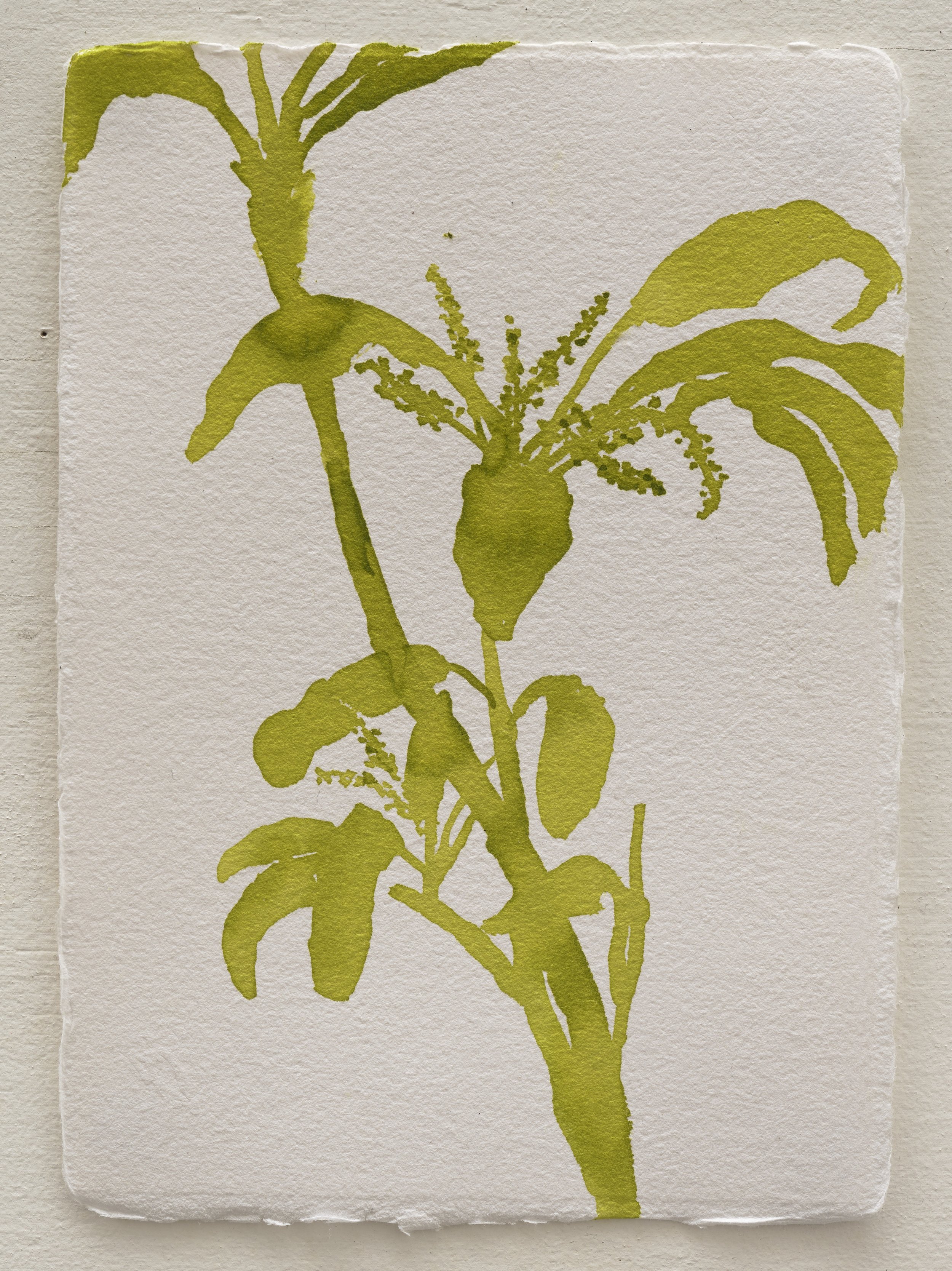   Untitled ?  2025 ink on paper 