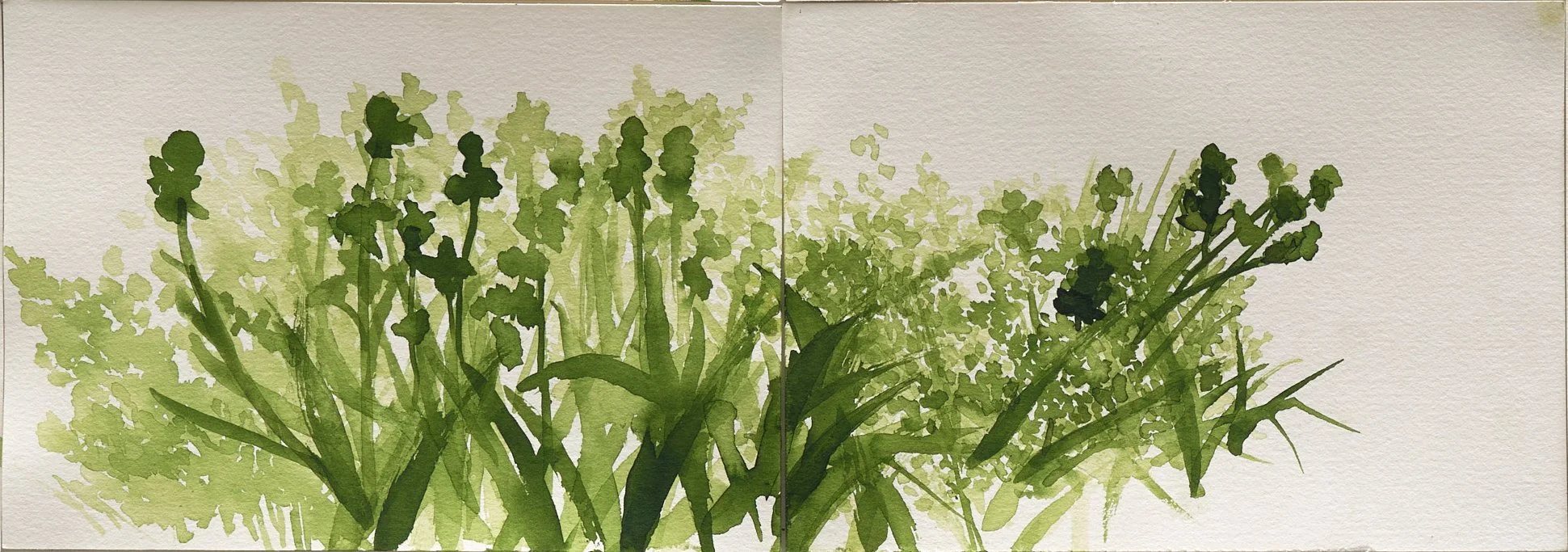   Tuileries Paris I  2025 ink on paper 15 x 42 cm 