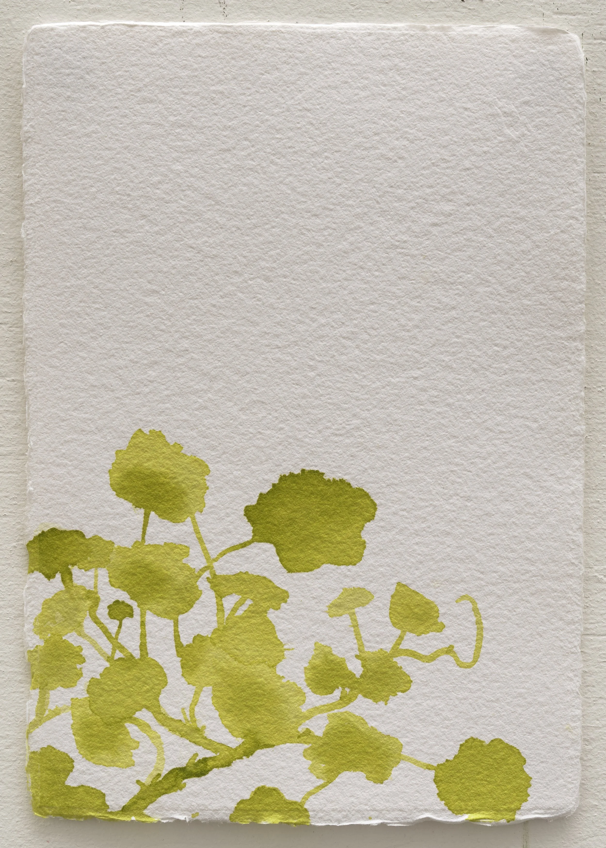   Untitled ?  2025 ink on paper 