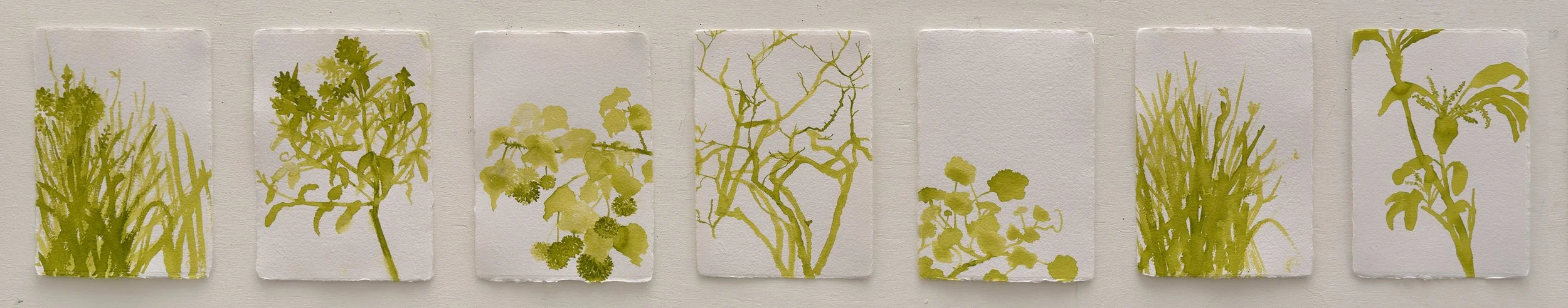   PB series  2025 ink on paper each 21 x 14 cm 