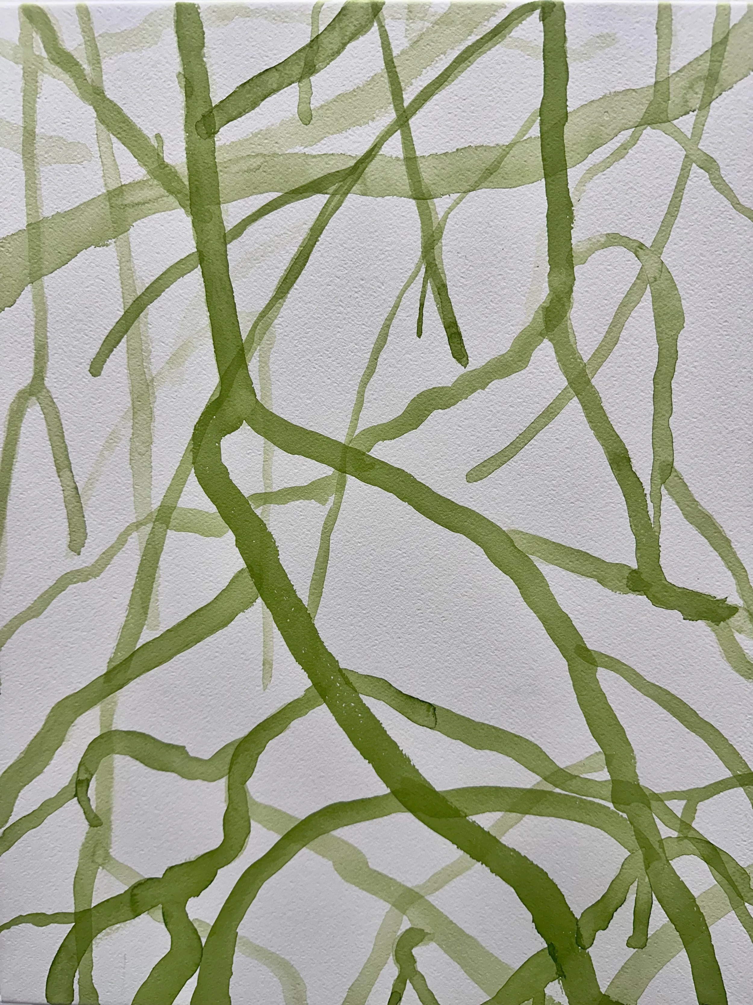   Mangrove VII  2026 ink on paper each 50 x 40 cm 