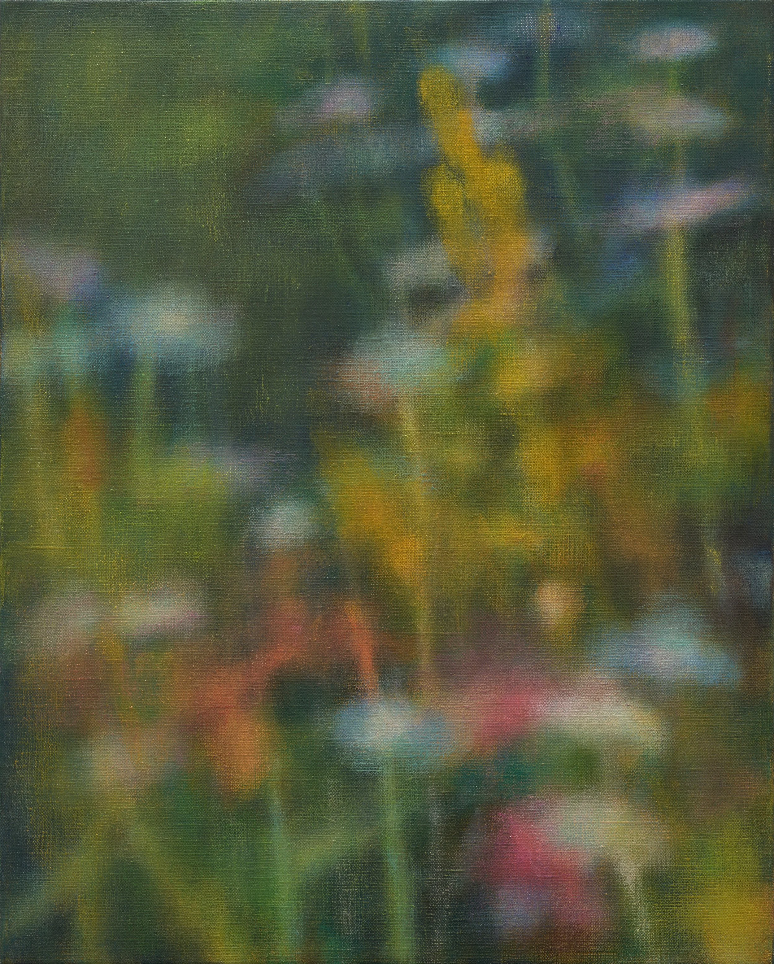 Meadow 51x41cm oil on linen 2025