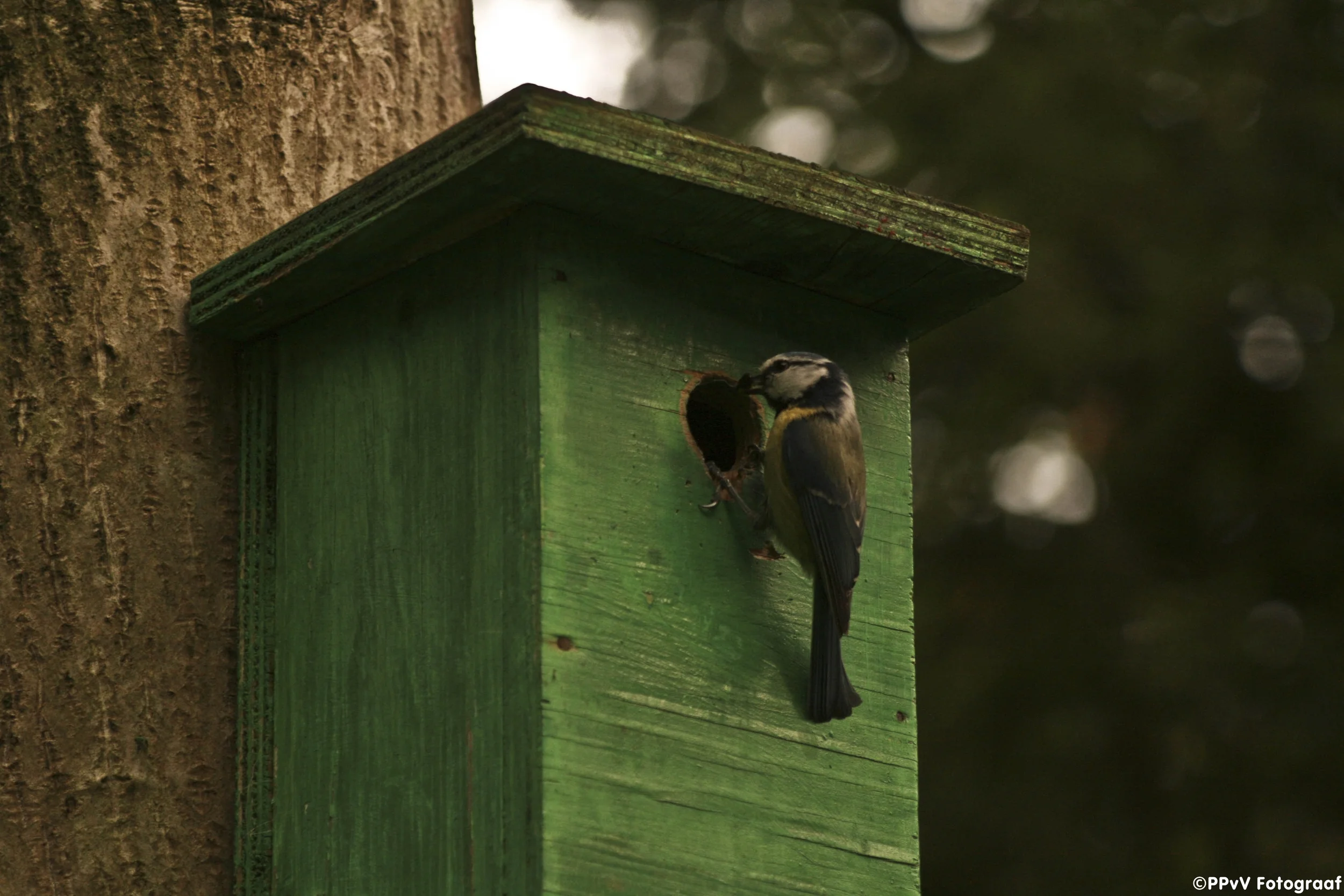 20110609_40.jpg