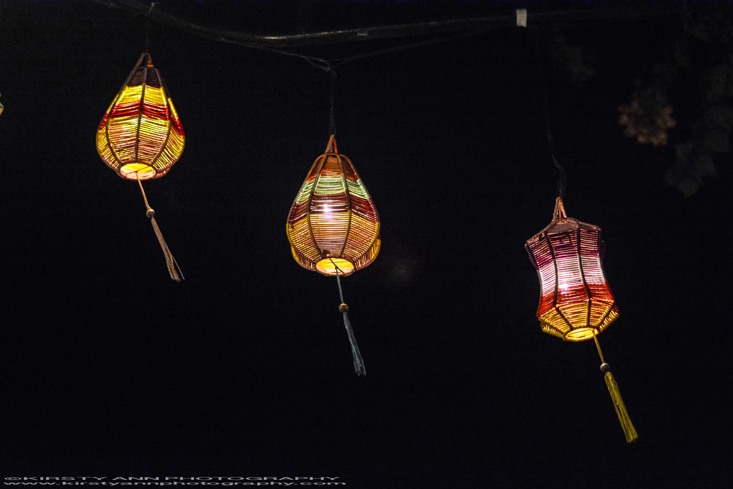 DSC_1459copyright.jpg