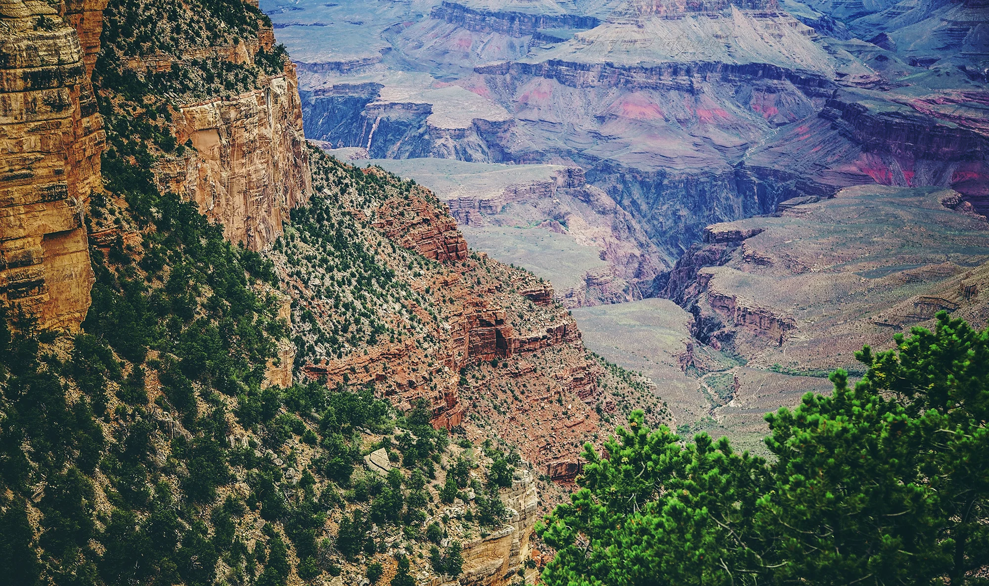The Grand Canyon