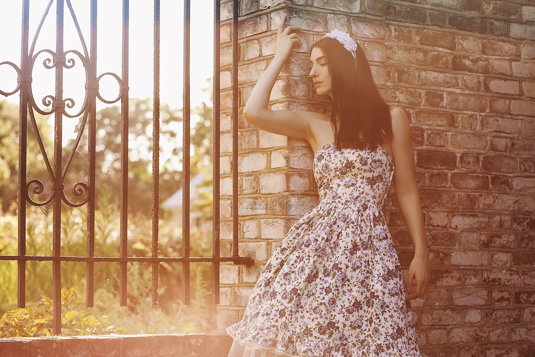 Summertime Dreams