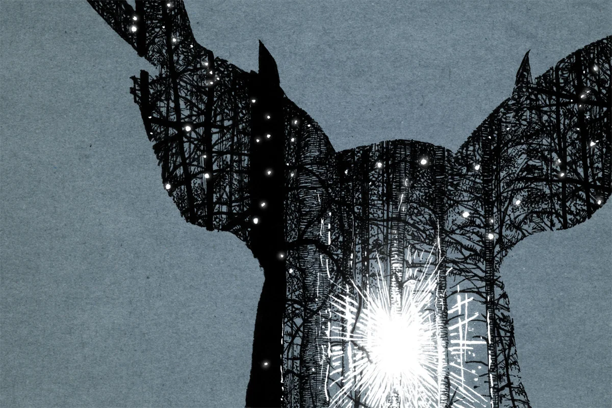 illustration_2009_in_the_shadow_of_our_pale_companion02.jpg