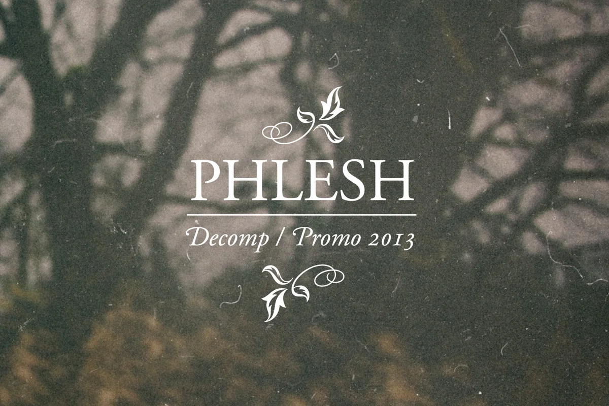 design_2013_phlesh_decomp01.jpg