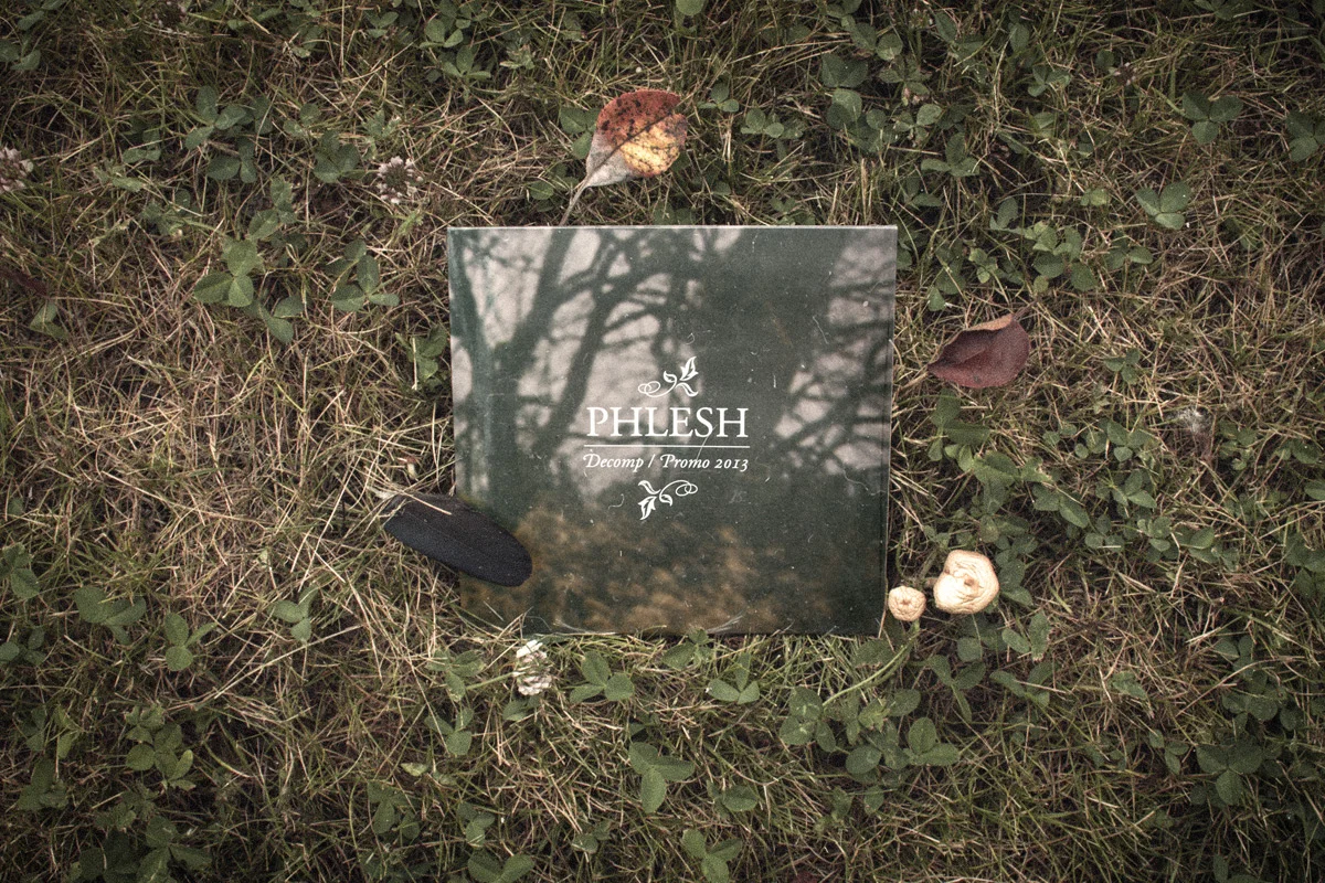 design_2013_phlesh_decomp03.jpg