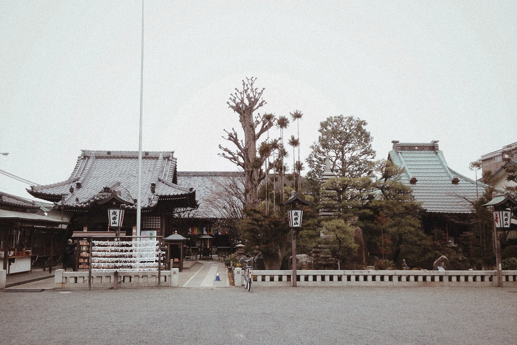 journal_01_japan_the_arrival01.jpg