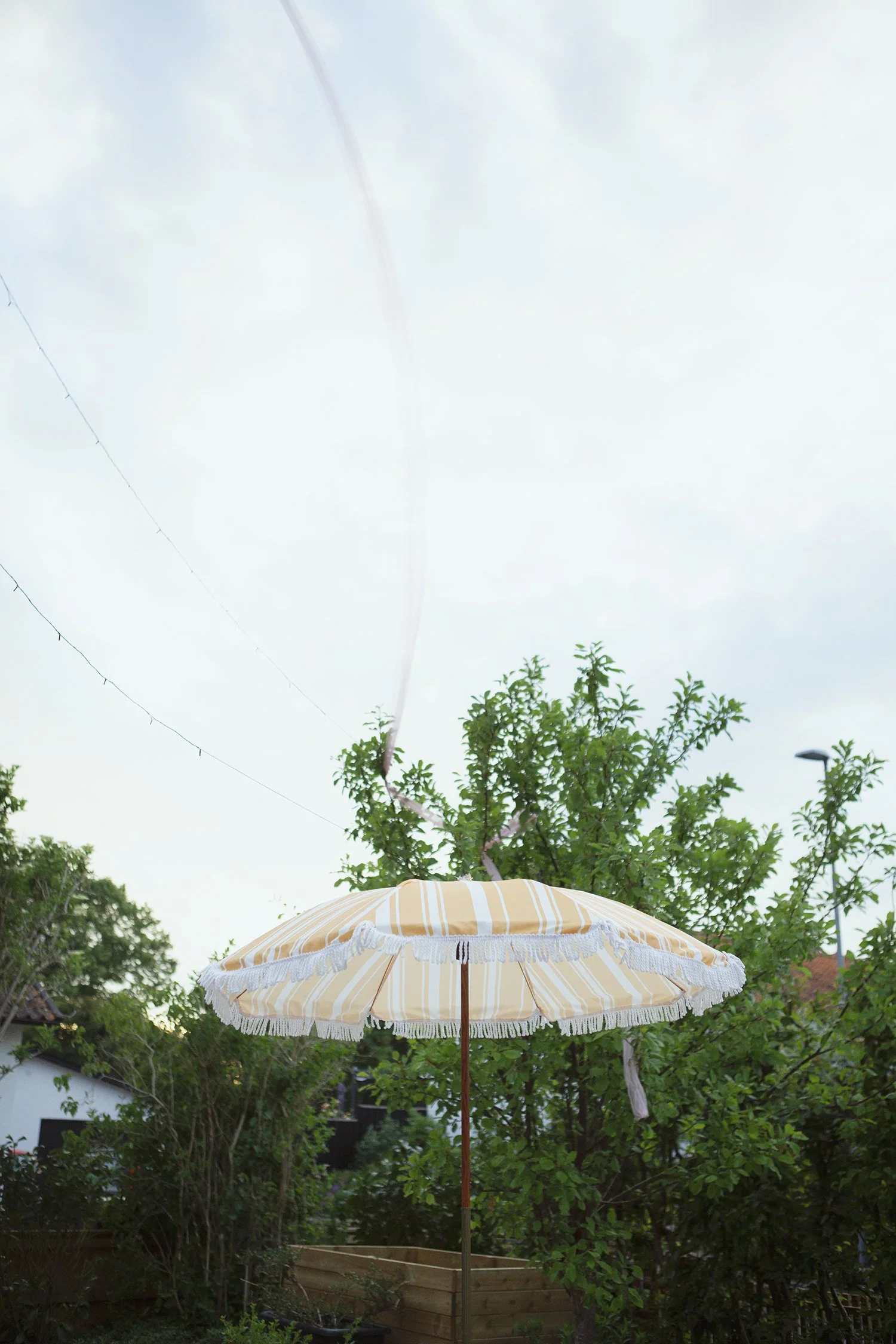 _07A9154.jpg