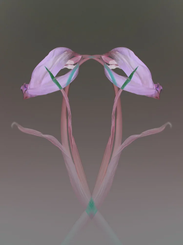 Equal_AnkiBlomqvist.webp