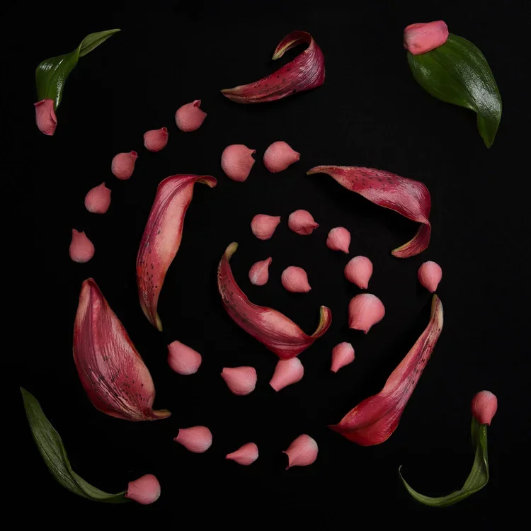 JustNu_AnkiBlomqvist.webp