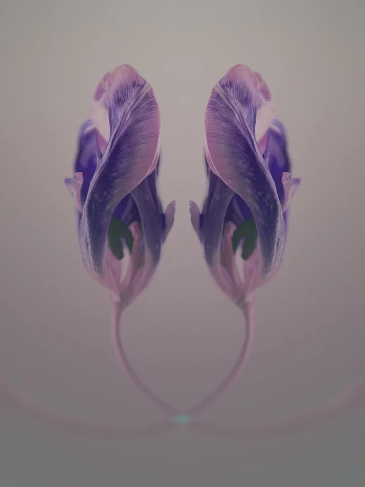 Mirror_AnkiBlomqvist.webp