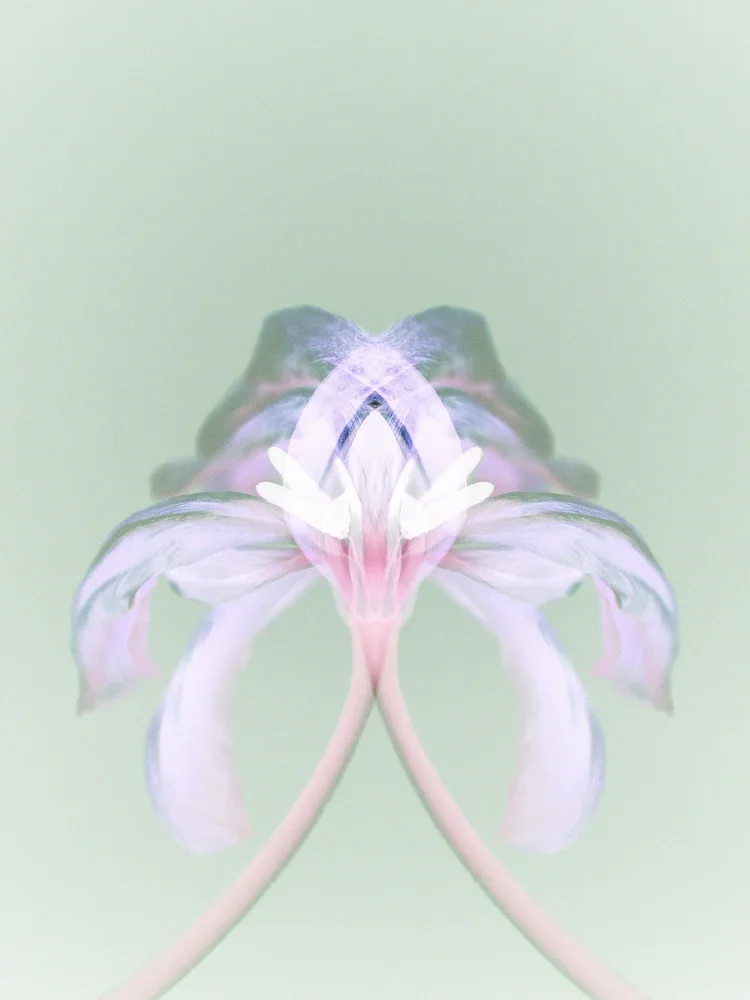 Re_Born_AnkiBlomqvist.webp