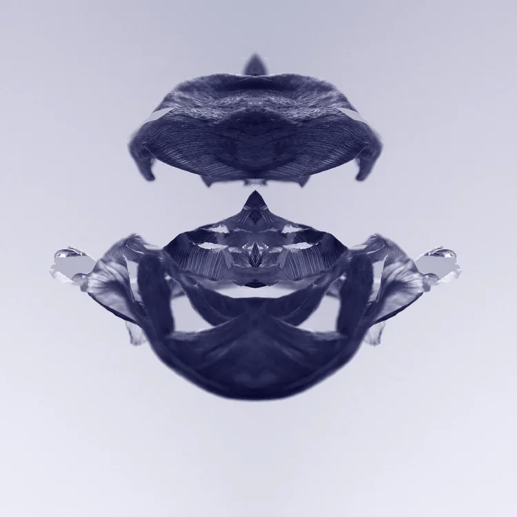 TheCastle_AnkiBlomqvist.webp