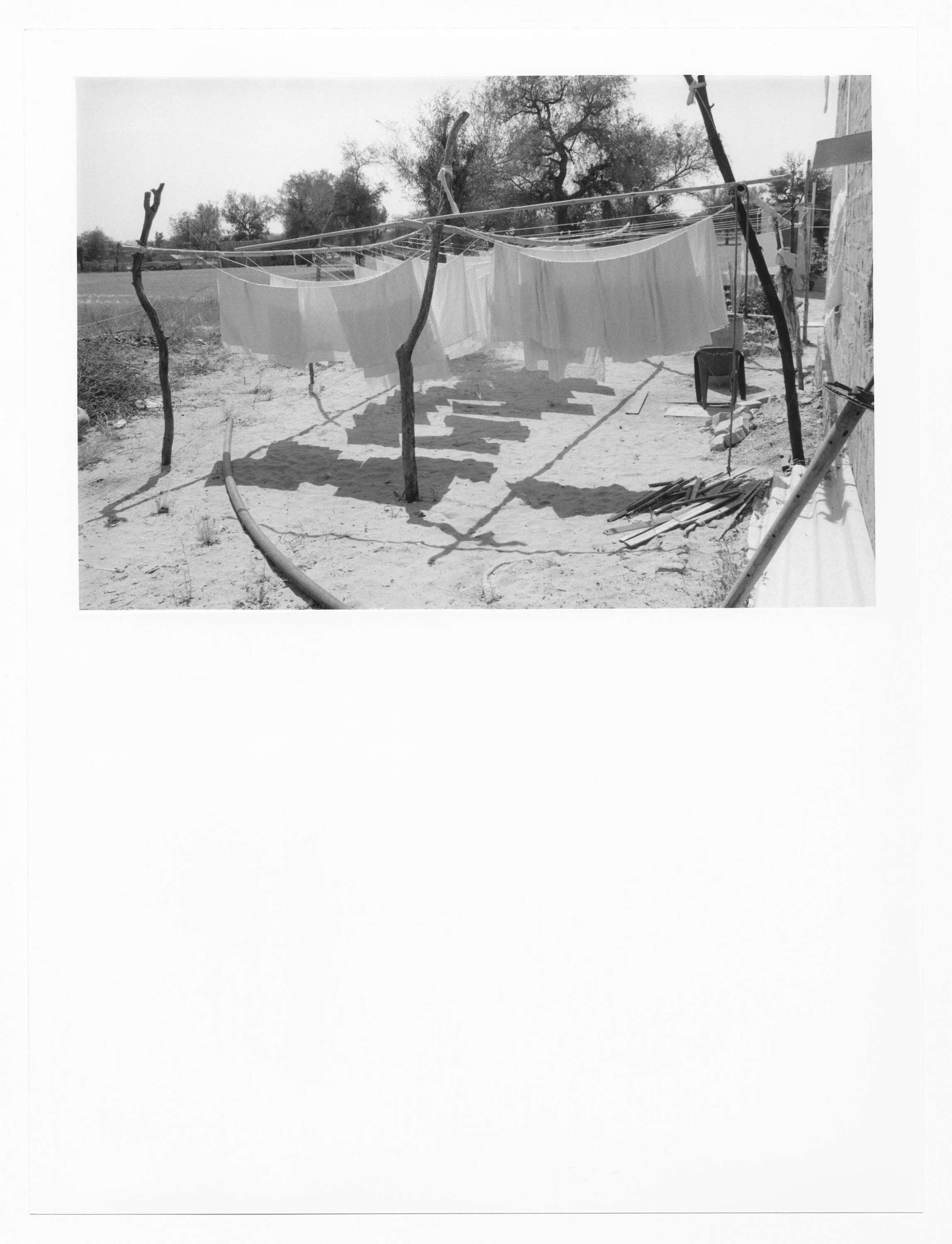 PLANT_INDIA__9.1.jpg