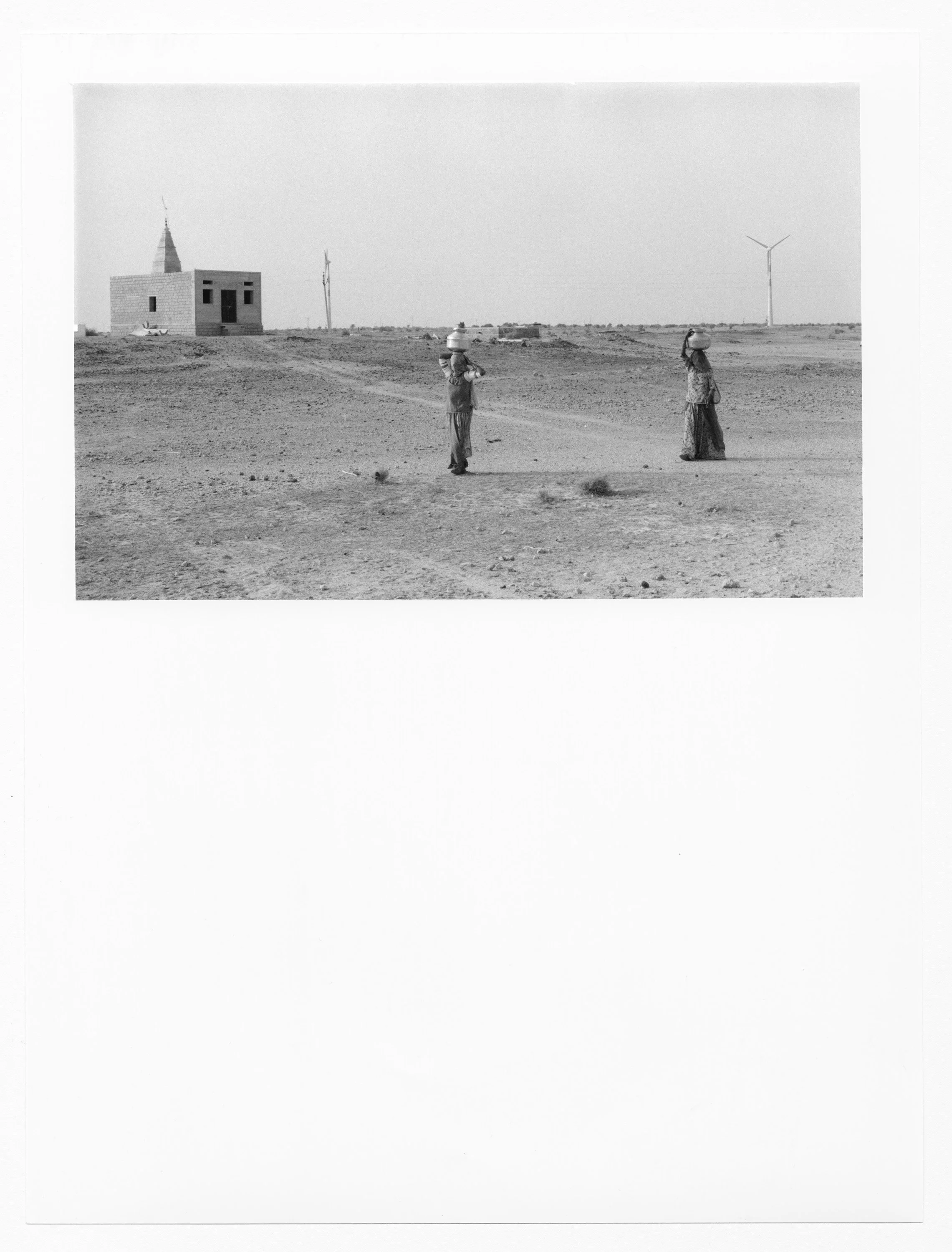PLANT_INDIA__14.1.jpg