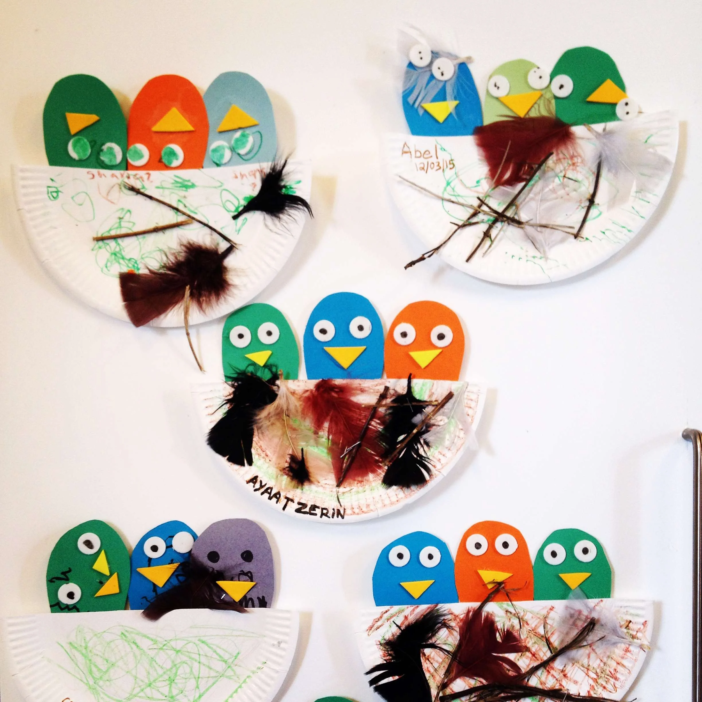 birds nests.jpg
