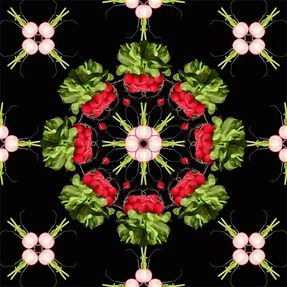 Radish Bunch