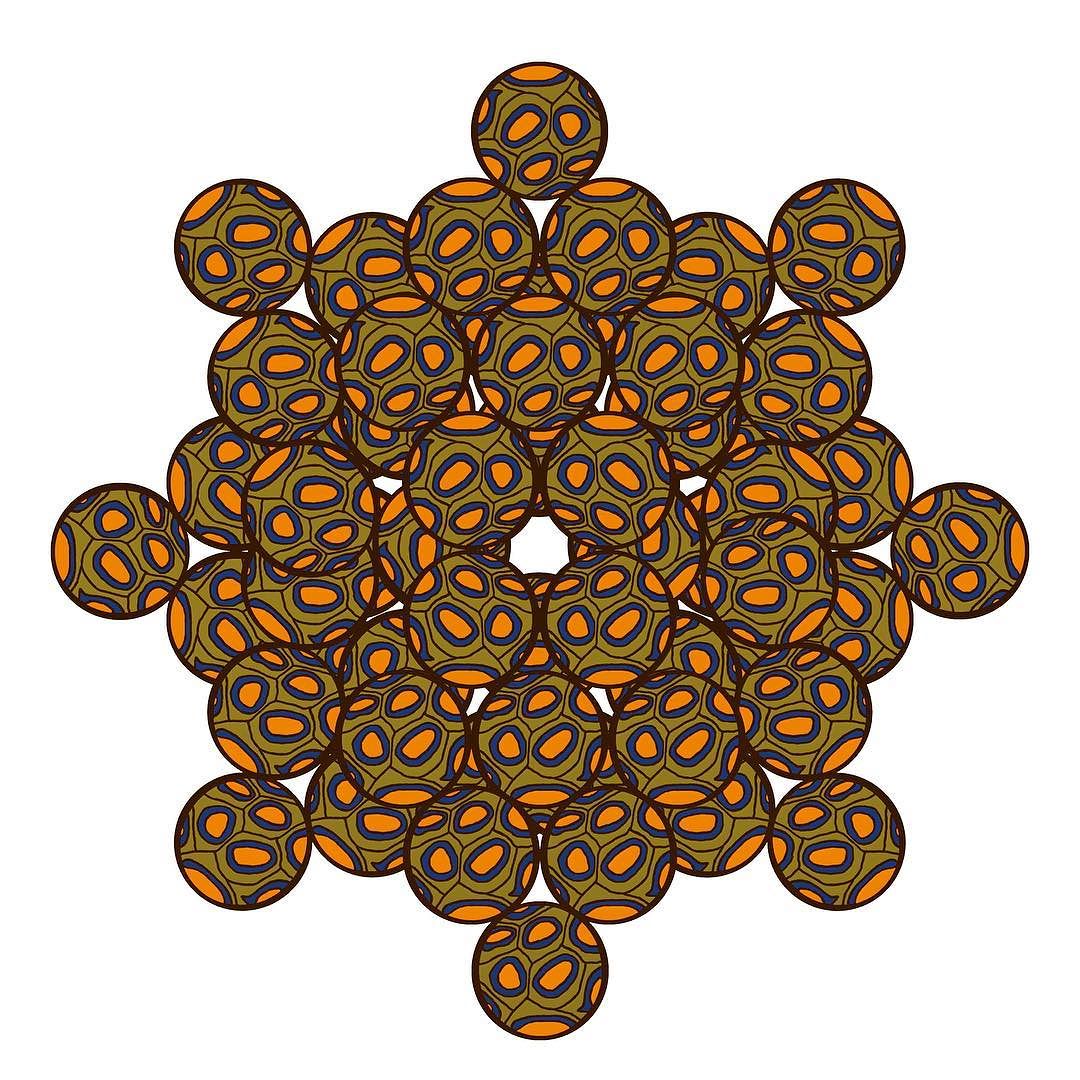 Turtle Power print