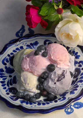 Tara's Organic Ice Cream. photo by Jennifer Esperanza