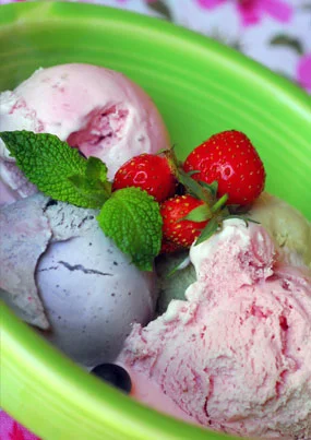 Tara's Organic Ice Cream. photo by Jennifer Esperanza