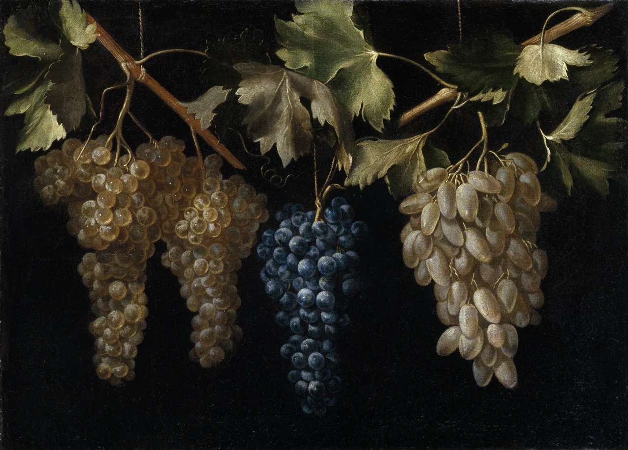 Four Bunches of Grapes Juan Fernandez El Labrador, c 1636