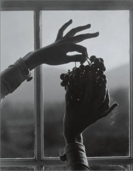 Georgia O'Keeffe - Hands and Grapes Alfred Stieglitz, c. 1921