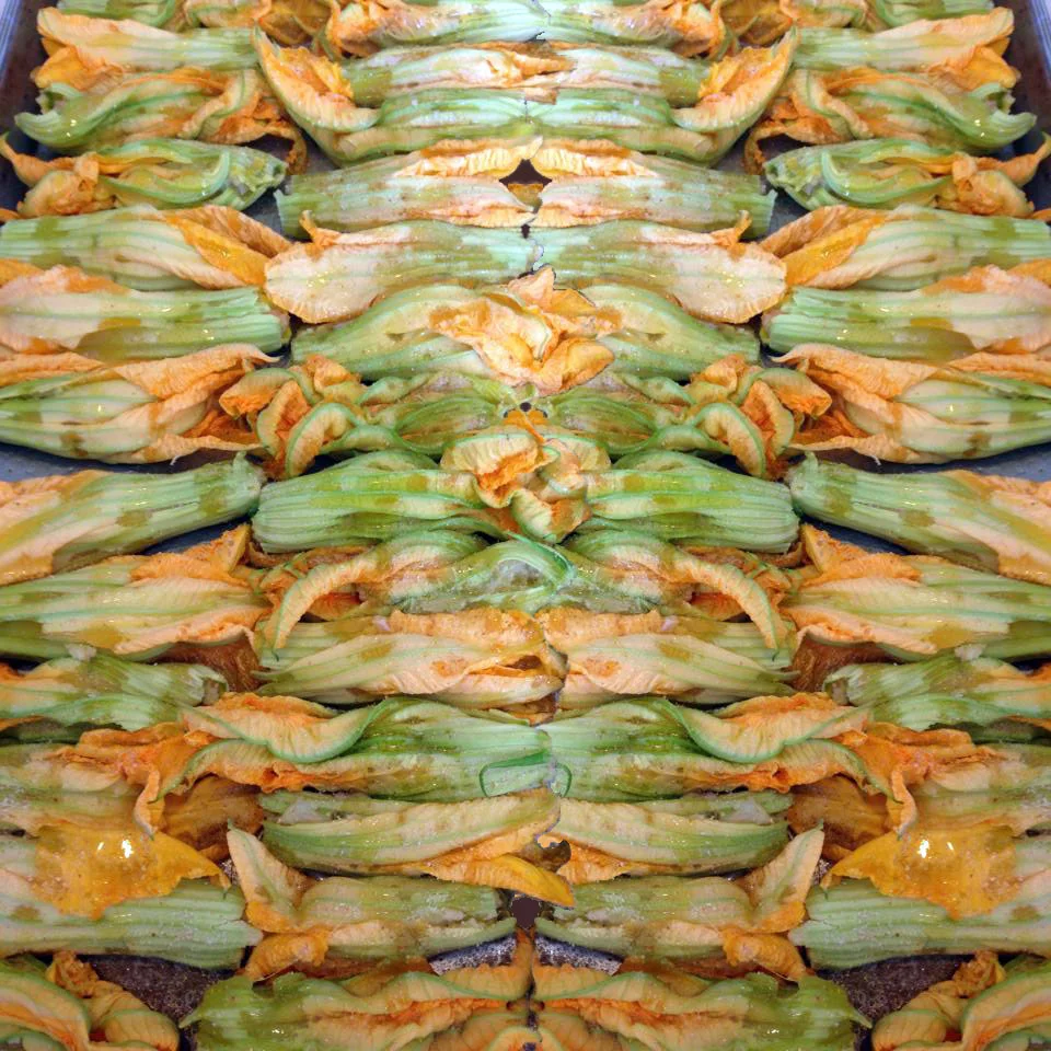 Fiori di Zucca de Ripieni made by Cristina Busnelli of Sanremo