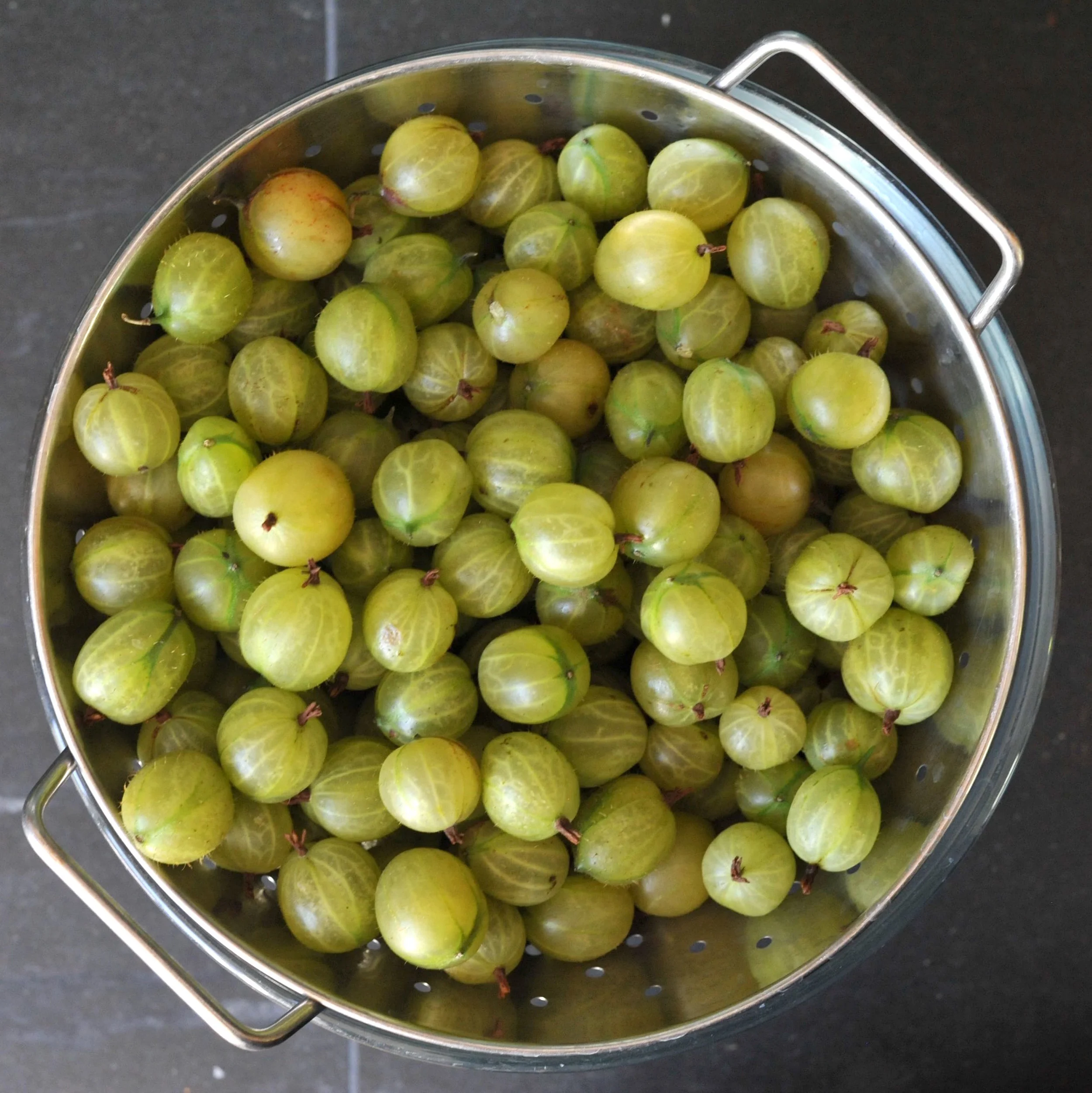 gberry colander.jpg