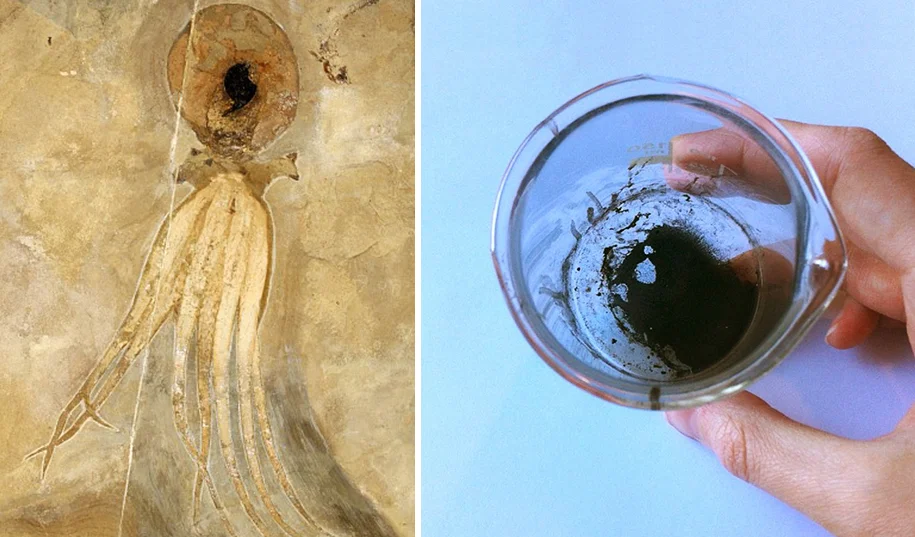 95 million year old octopus fossil found in 2009 and it’s ink, extracted by paleontologist Jørn Hurum and then . The piece is exhibited together with the fossil in the Natural History Museum in Oslo, Norway. ink as used in Esther Van Hulsen’s octopus illustration as seen above.