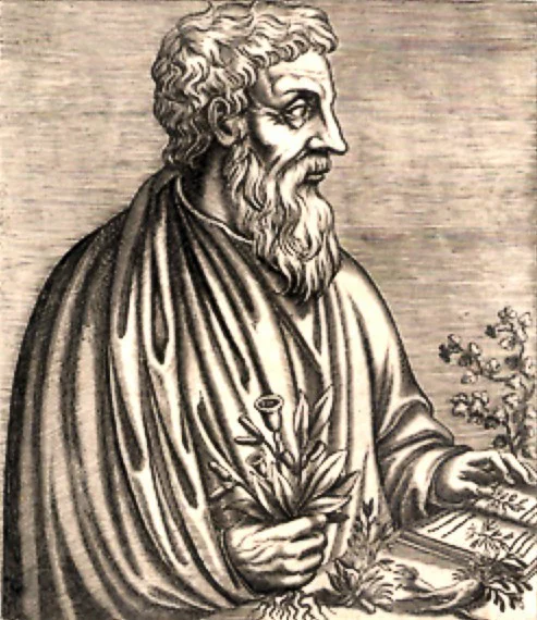 The first written evidence to the healing properties of mastic comes from first-century Greek physician Pedanius Dioscorides in his book De Materia Medica.