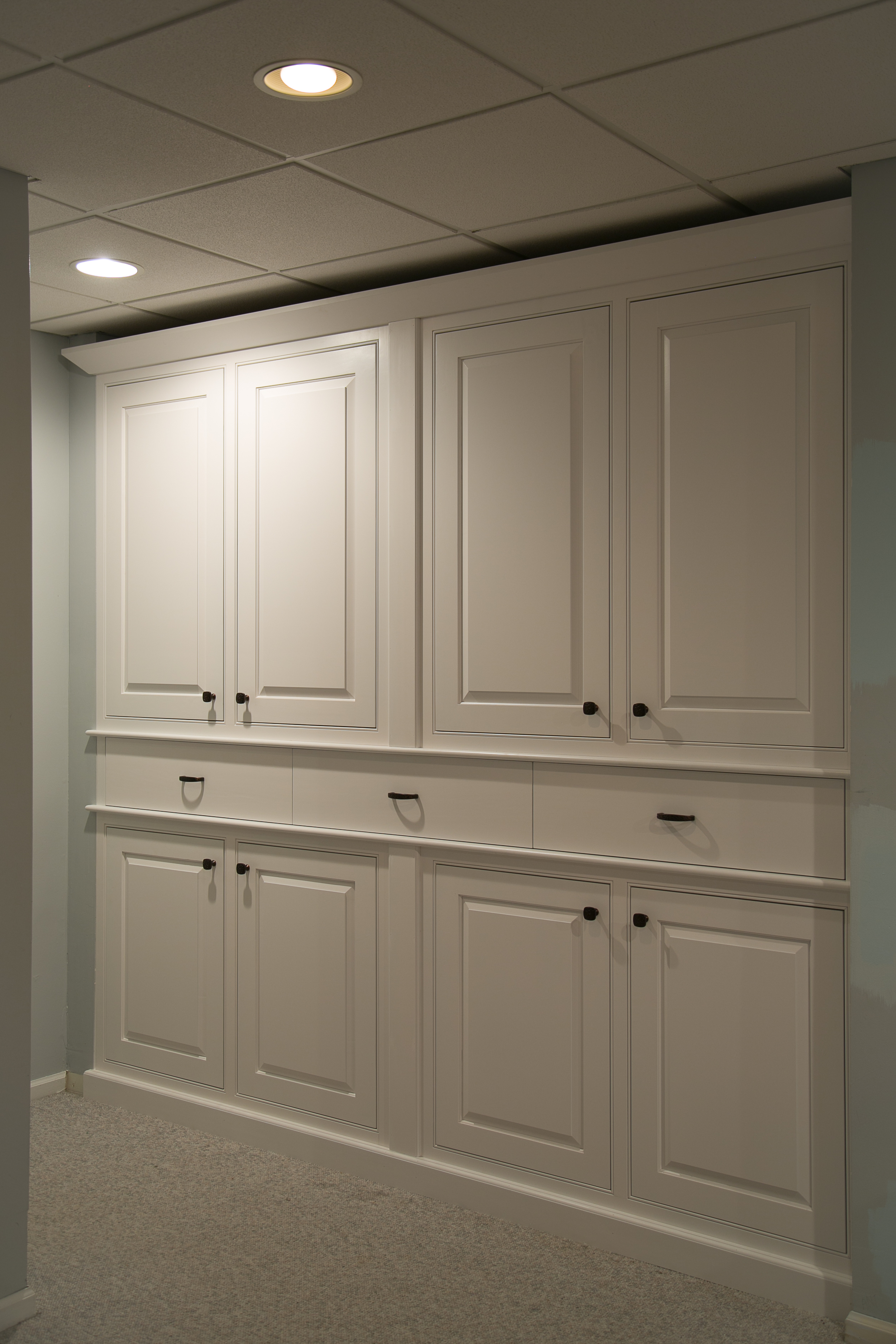 Built-In Storage Cabinets