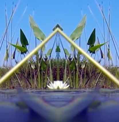 Pilgrim-Pond-Pyramid-9.jpg