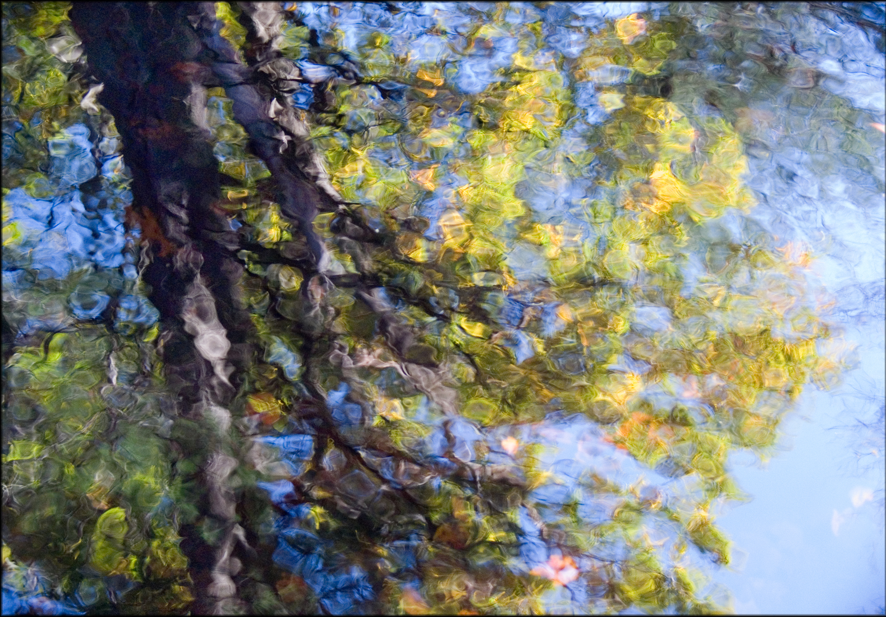 monet reflection.jpg