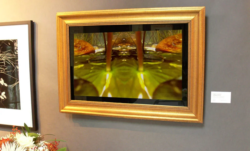 Mirror-at-Fine-Arts-Show.jpg
