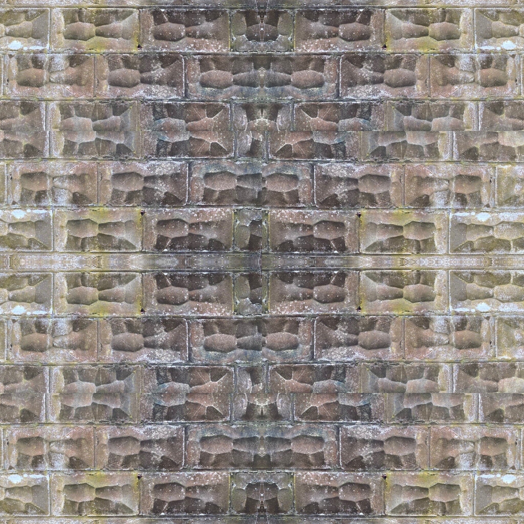 5E9095E1-0BDE-44EE-8B6D-4707C47FDD8F 2.JPG