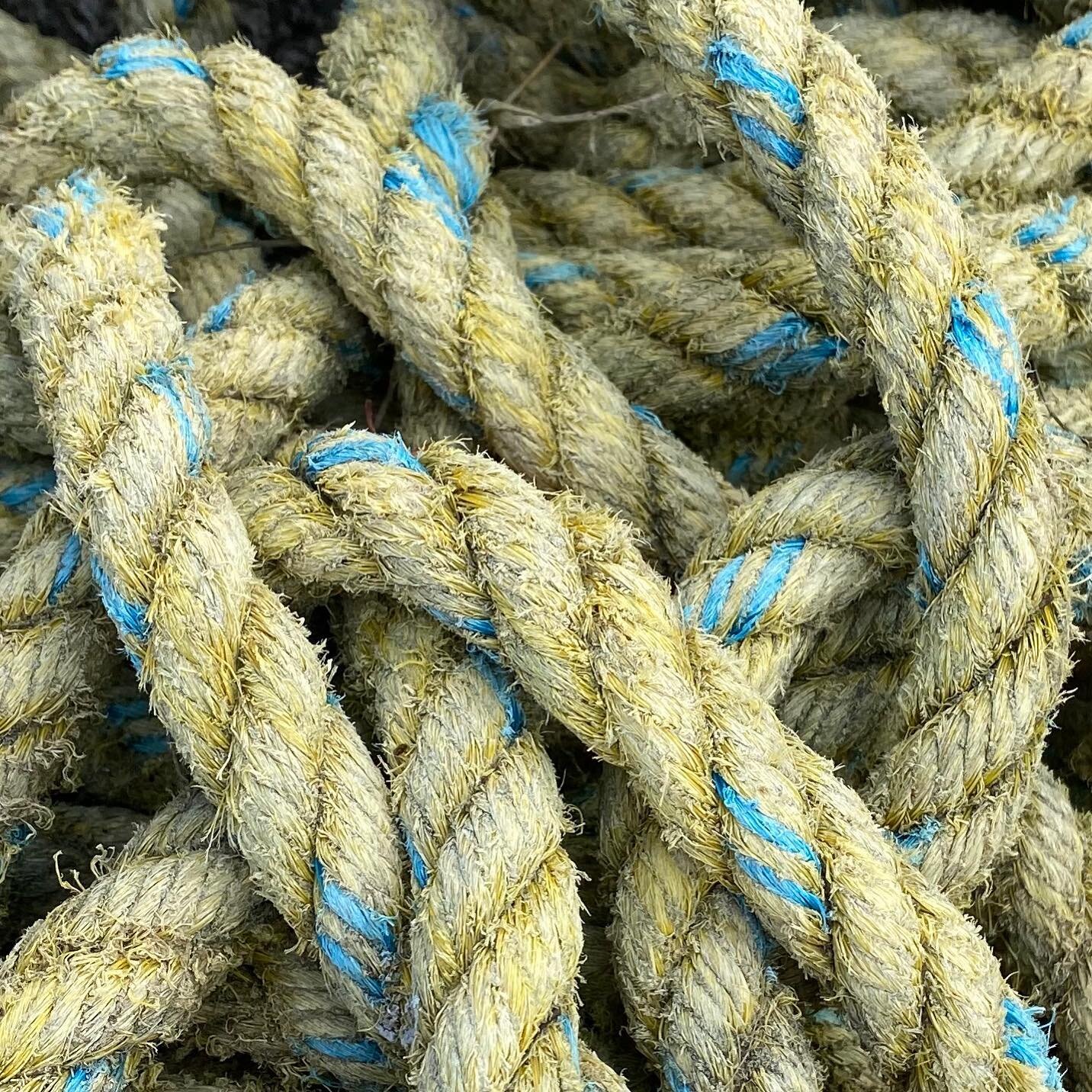 Yellow and blue rope #yellowblue