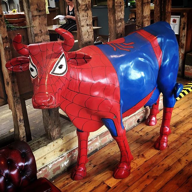 Spider cow, spider cow, spins a web, I don't know how. #spidercow #perfectday #perfectdaymarryoke #marryoke #wedding #weddingmarryoke #jimmysfarm #jimmysfarmwedding #jimmysfarmmarryoke