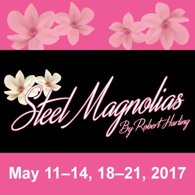 Steel-Mags_square-banner.jpg