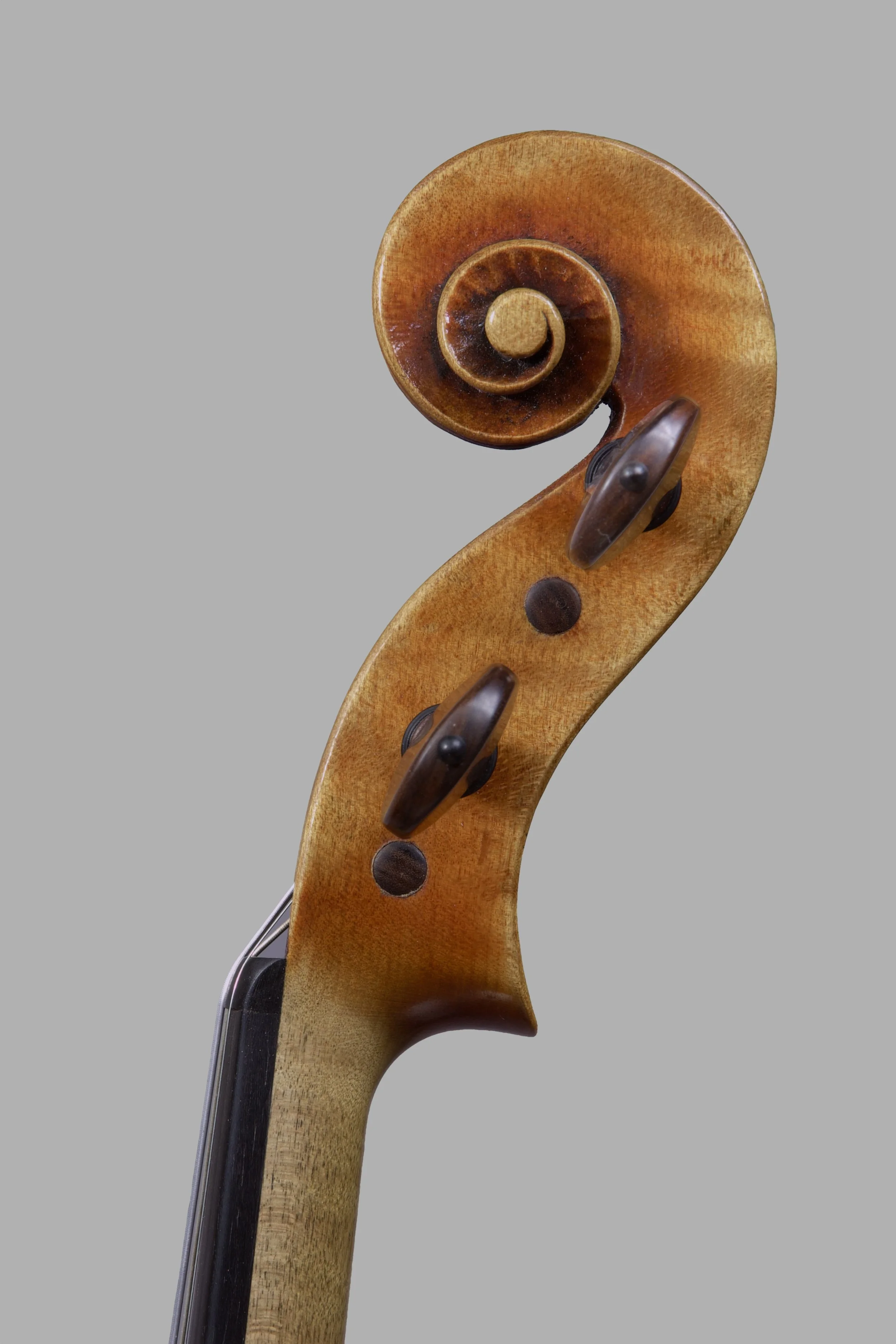 Leo Goujard Spiga 2019 scroll.jpeg