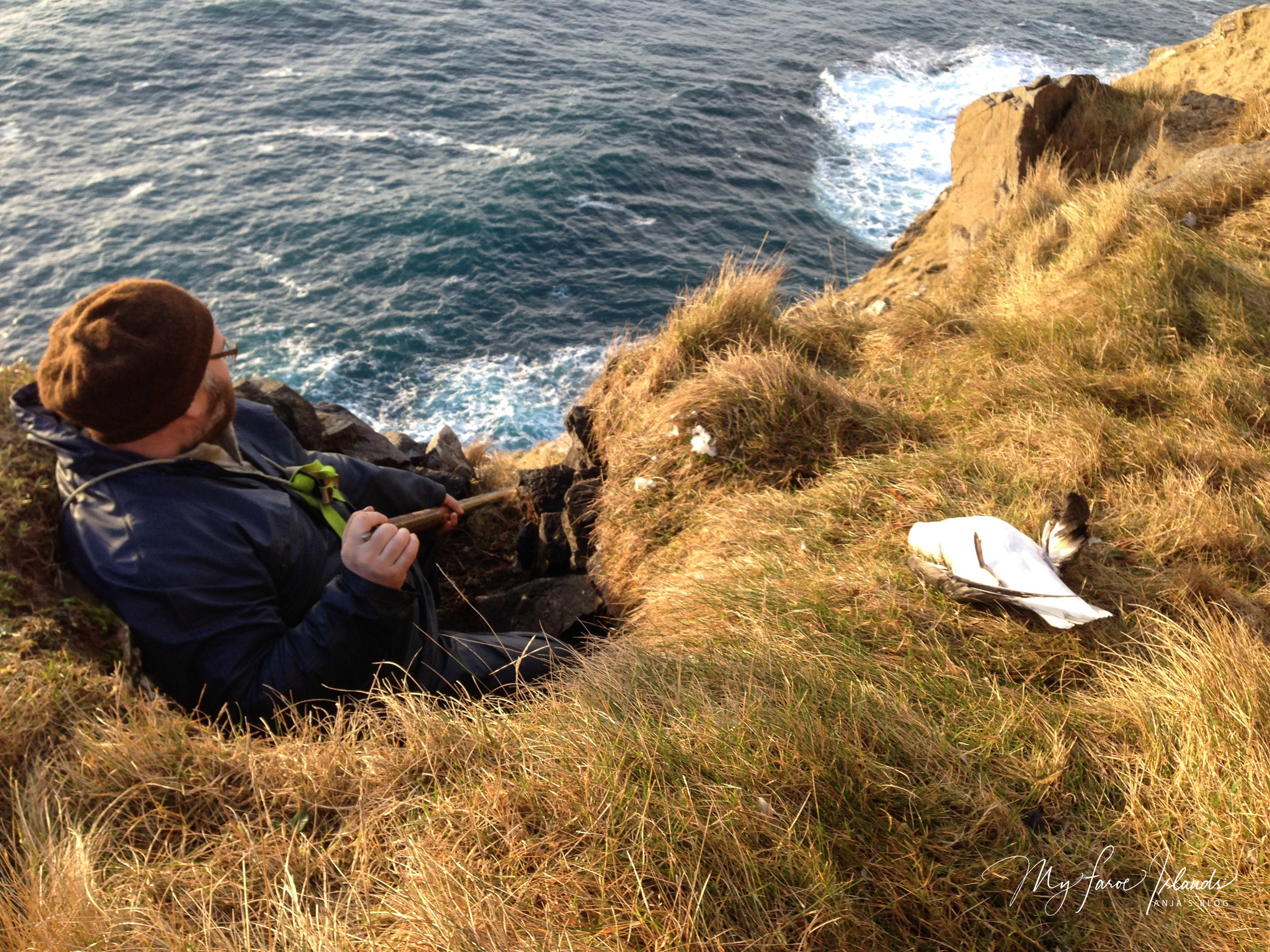 Bird Catching 2 ©My Faroe Islands, Anja Mazuhn  (1 von 1).jpg