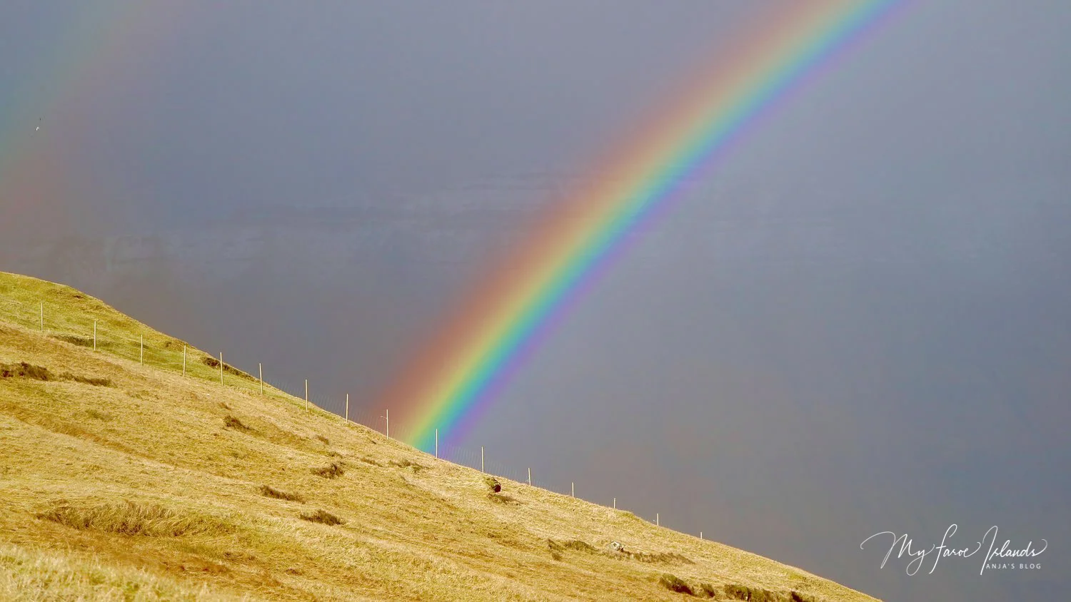 Rainbow Alert © My Faroe Islands, Anja Mazuhn (1 von 1).jpg