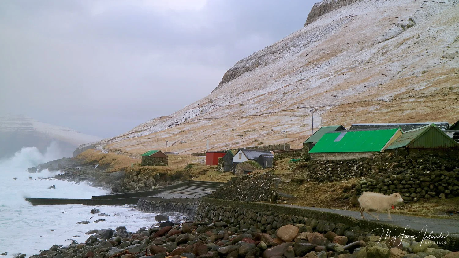 Sheep Harbor © My Faroe Islands, Anja Mazuhn (1 von 1).jpg