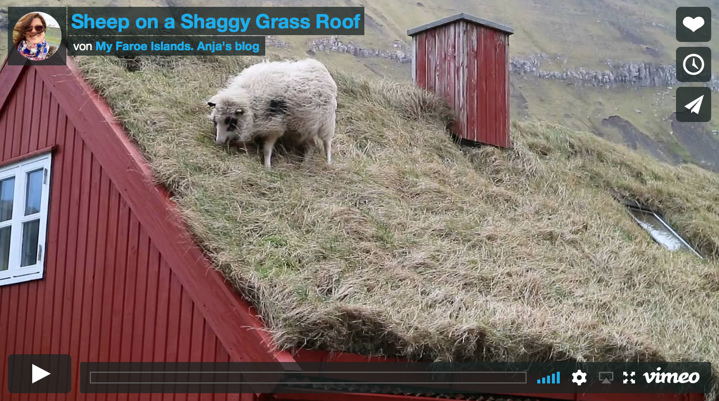 shaggy .png