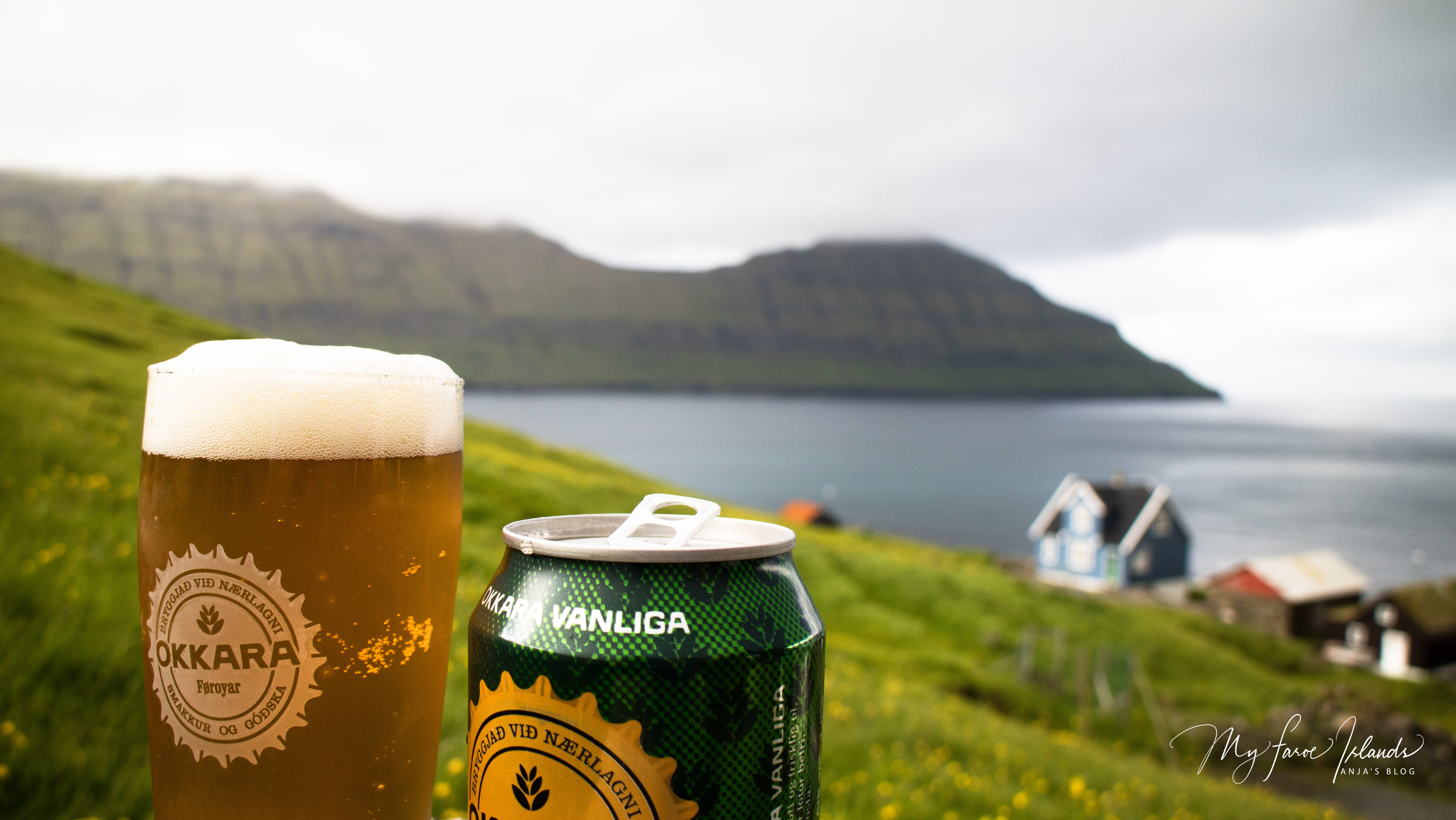 Have a beer  a © My Faroe Islands, Anja Mazuhn  (1 von 1).jpg